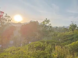 Land for sale Nuwara Eliya Hattan
