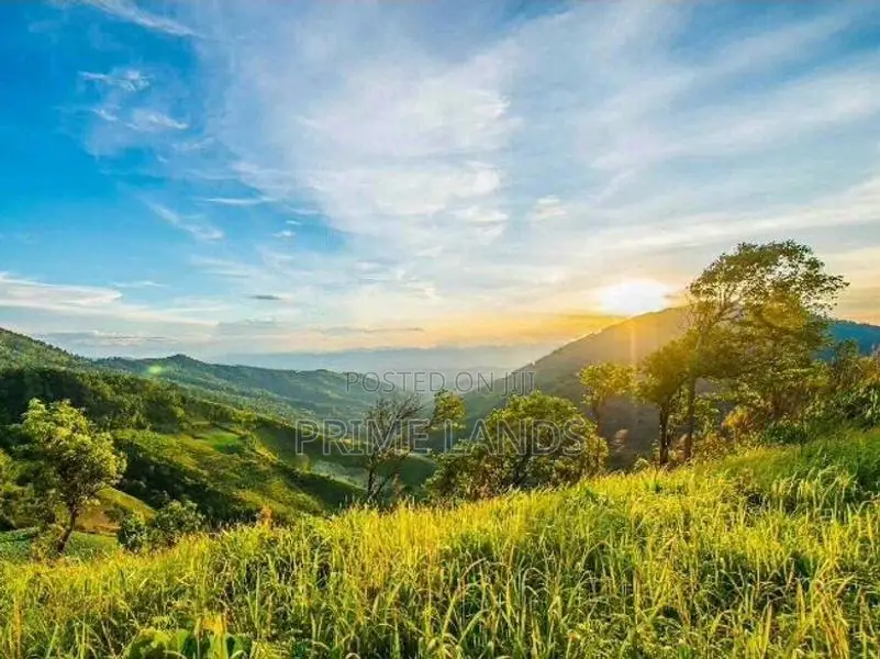 Land for Sale Nuwara Eliya Rothes