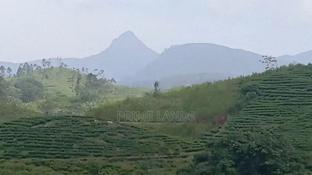 Land for Sale Nuwara Eliya Hatton
