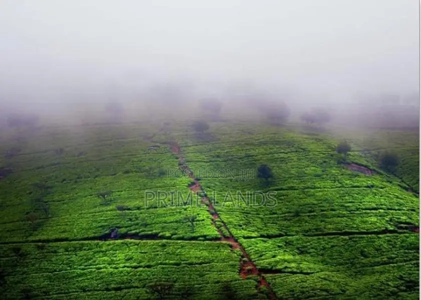 Land for Sale Nuwara Eliya Rothes