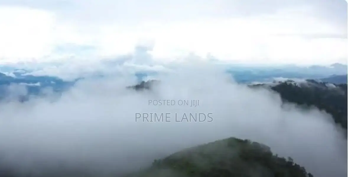 Mountain view point of land for sale pundaluoya