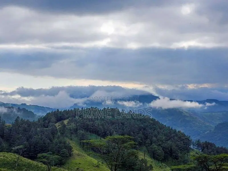 Land for sale Nuwara Eliya pundaluoya