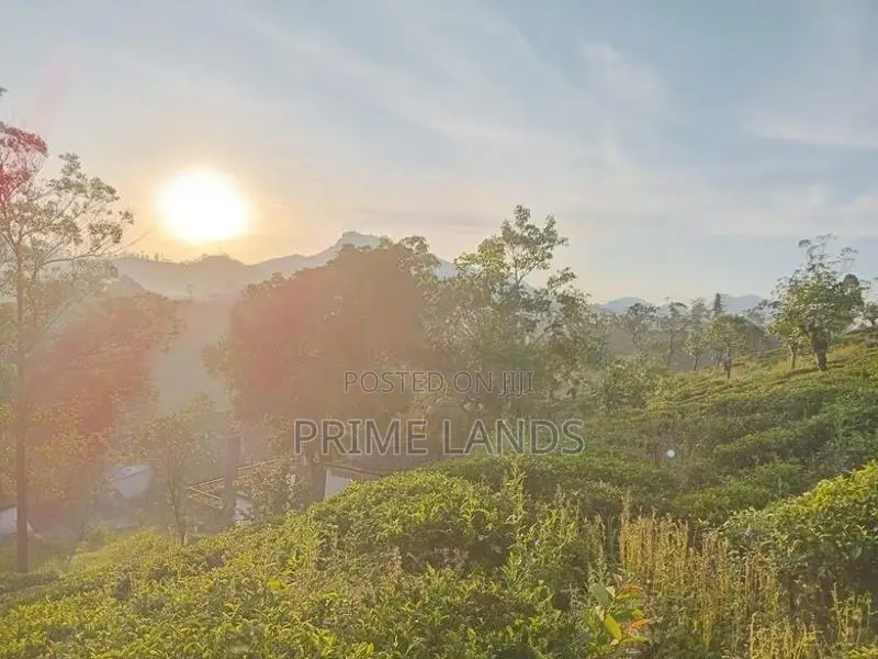 Land for Sale Nuwara Eliya