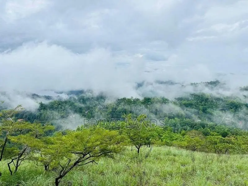 Land for Sale Nuwara Eliya Rothes
