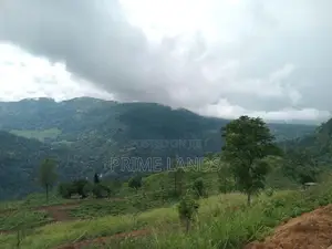 Mountain view point of land for sale pundaluoya