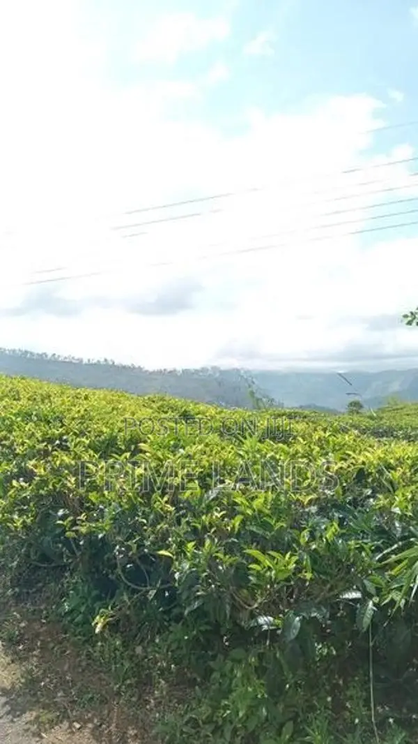 Land for Sale Nuwara Eliya Rothes