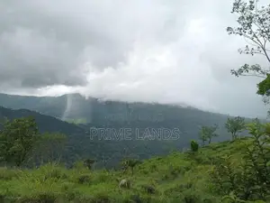 Land for sale Nuwara Eliya pundaluoya
