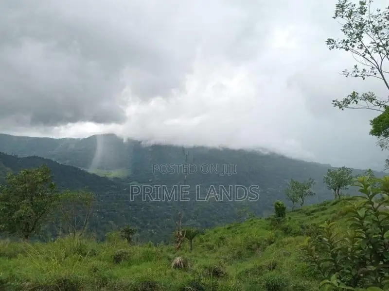 Land for sale Nuwara Eliya pundaluoya