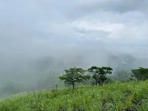Land for Sale Nuwara Eliya Pundaluoya