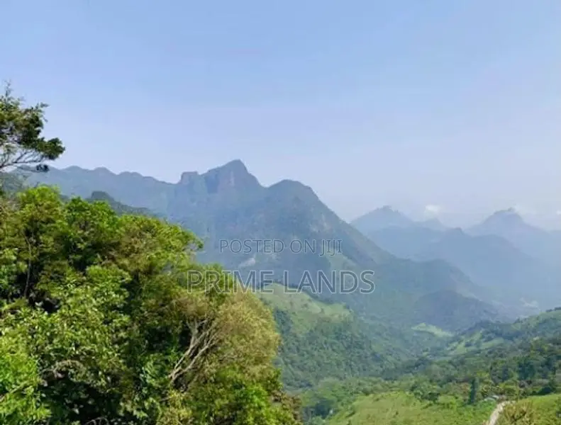 Land for Sale Nuwara Eliya Pundaluoya