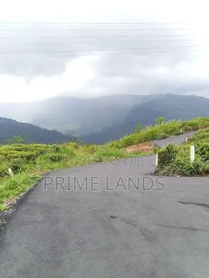 Land for Sale Nuwara Eliya Pundaluoya