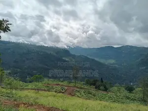 Land for Sale Nuwara Eliya Pundaluoya