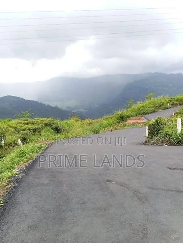 Land for Sale Nuwara Eliya Pundaluoya