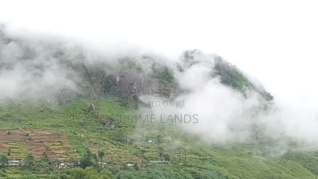 Land for Sale Nuwara Eliya Pundaluoya