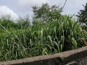 Land for sale in ratmalana