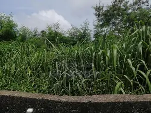 Land for sale in ratmalana