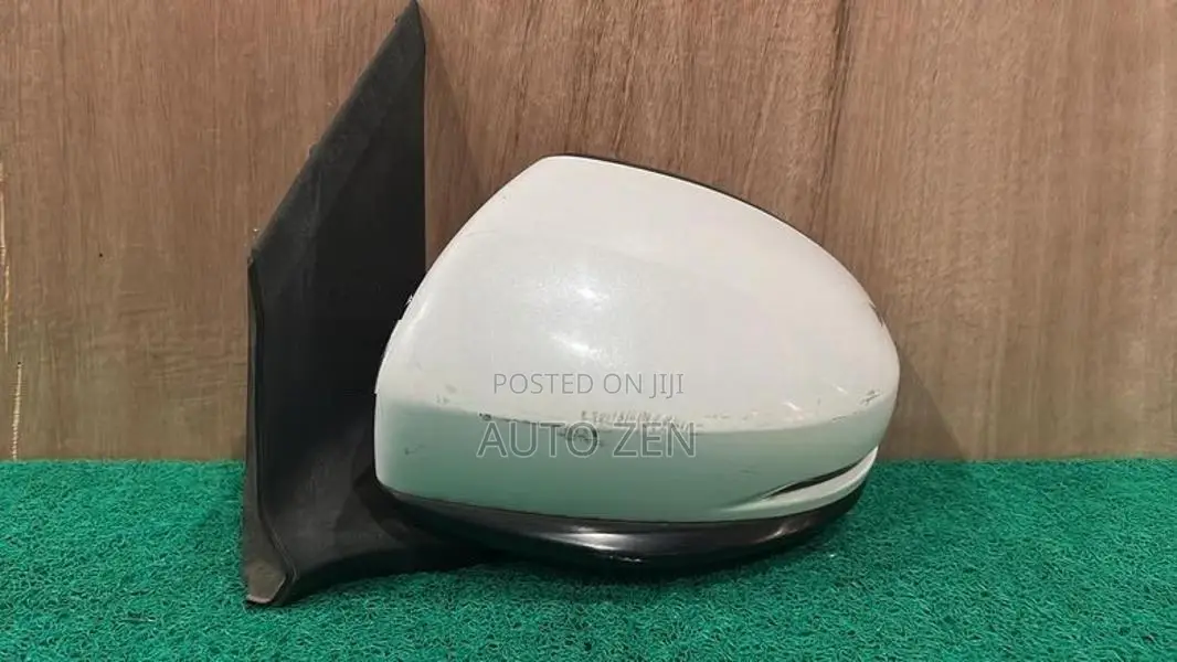 Grace GM4 Side Mirrors