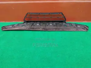 Honda Grace Buffer mesh/grill/shell