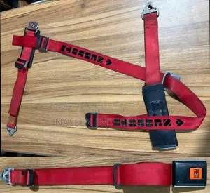 Schroth Racing Harness