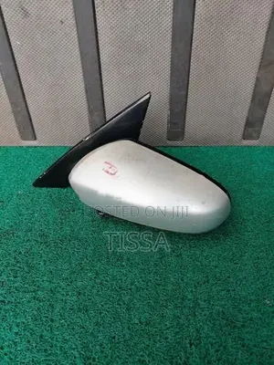 Nissan Teana J31 Side Mirror