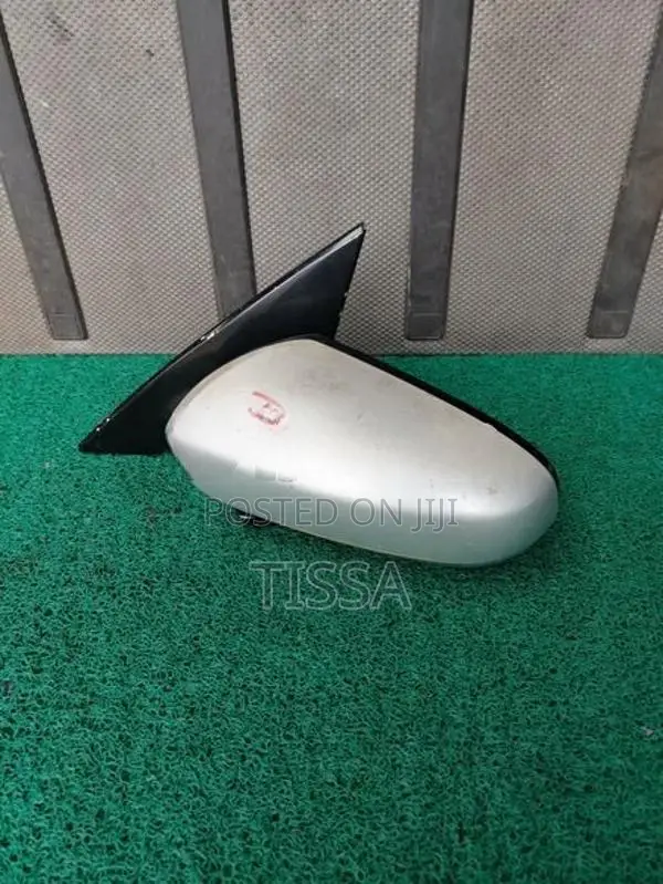 Nissan Teana J31 Side Mirror