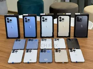 Apple iPhone 13 Pro 256GB (Used)