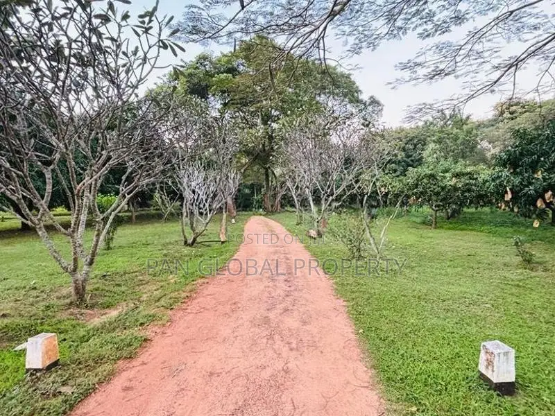 Estate For Sale In Dambulla