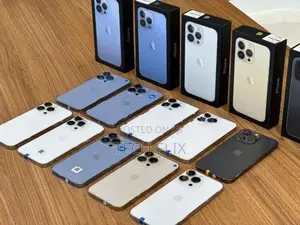 Apple iPhone 13 Pro 256GB (Used)