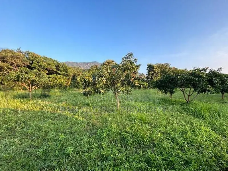 Estate For Sale In Dambulla