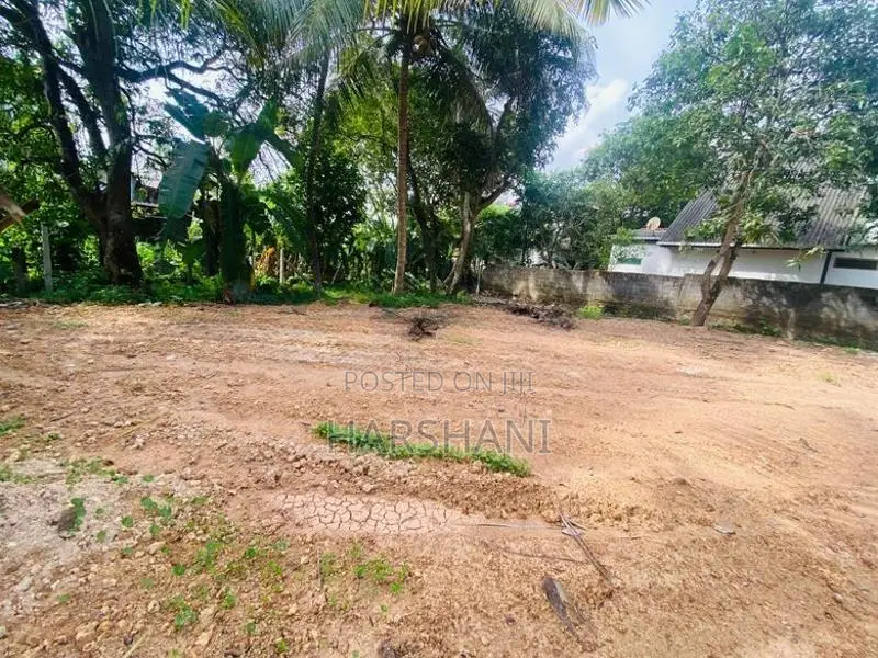 15P Land at Kandana – Close to Negombo Colombo Main Road