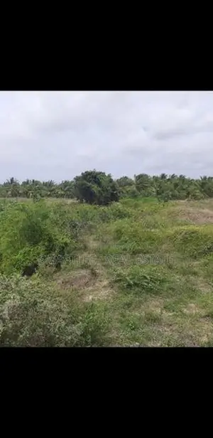 Land for Sale in Puttalam