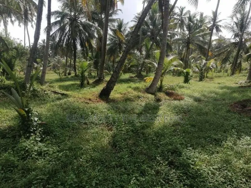 Chilaw 35 Acers Coconut Estate for Sale facing Kurunegala Road