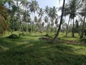 Chilaw 35 Acers Coconut Estate for Sale facing Kurunegala Road