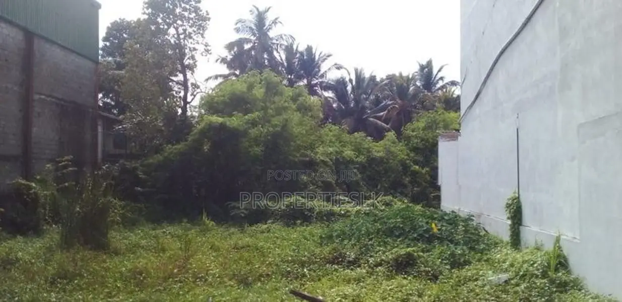 Paliyagoda 40 Perches Land for sale