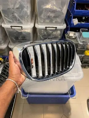 BMW 740Le Sport Kidney Grilles