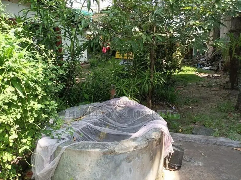 Land for Sale in Mount Lavinia
