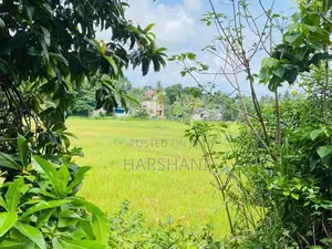 11P High Elevated Land Overlooking Beautiful Paddy Field, Hokandara