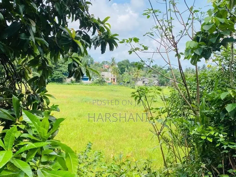 11P High Elevated Land Overlooking Beautiful Paddy Field, Hokandara