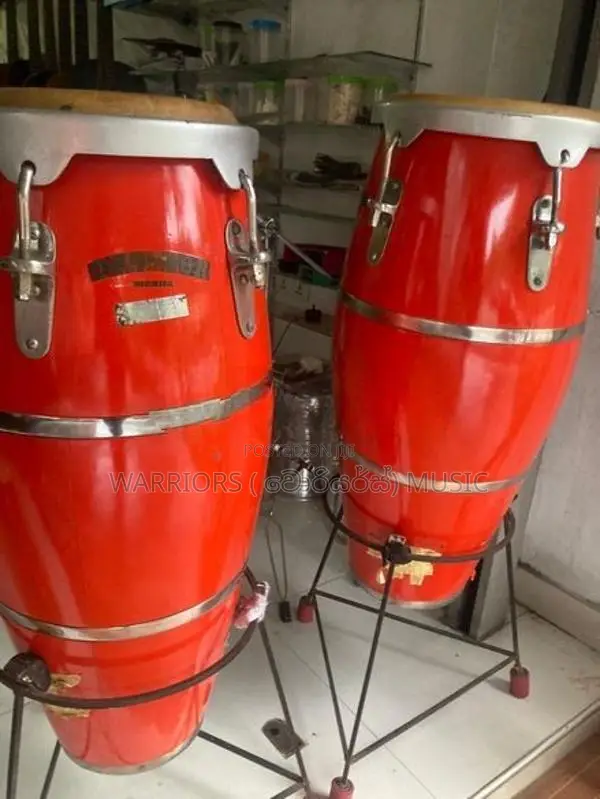 Bongo Pair