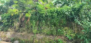 7.5P Residential Land for Sale in Nugegoda | SL 14659