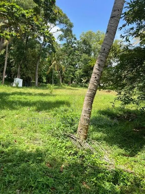 LAND FOR SALE IN PILIYANDALA-LS-371