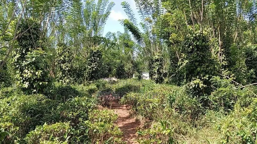 Valuable Land for Sale Pilimathalawa