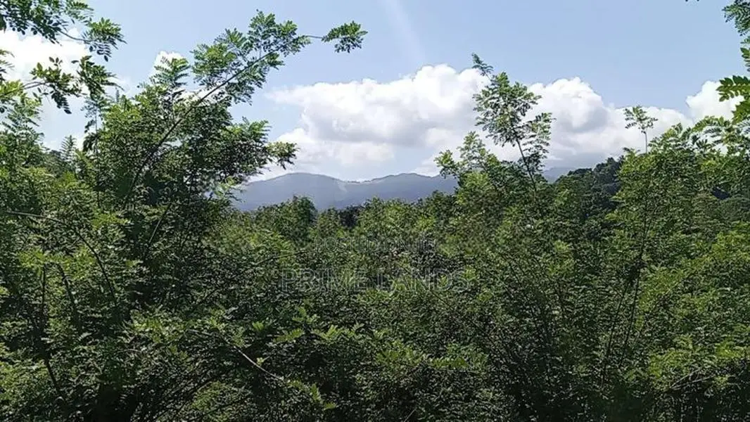 Valuable Land for Sale Pilimathalawa