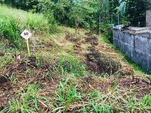 Land for Sale Uthuwankanda
