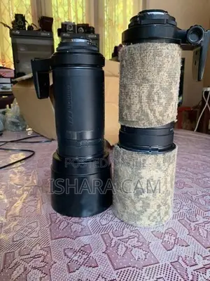 canon 400mm wildlife DSLR lens