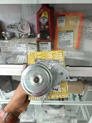 Kwid Water Pump