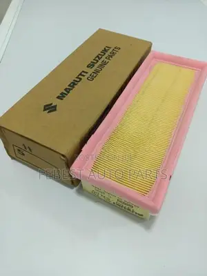 Alto 800 Air filter