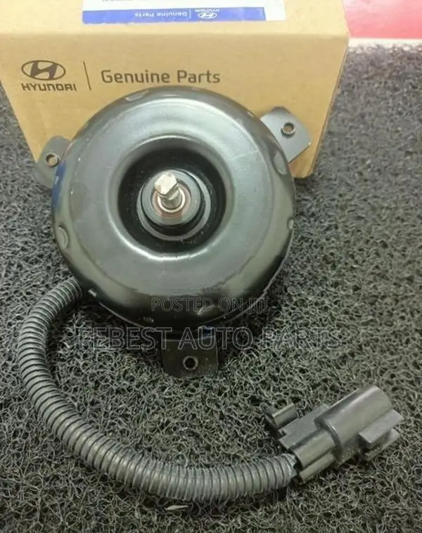 Eon Fan Motor
