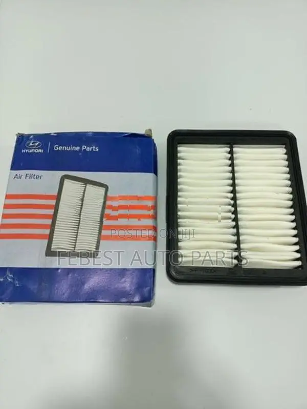 Eon Air filter