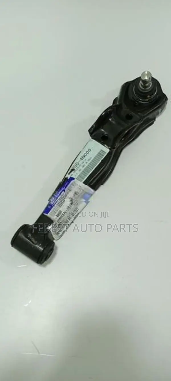 Eon Lower Arm